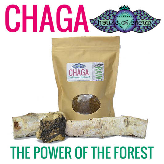 Chaga Mushroom Tea 1kg (2.2lb)